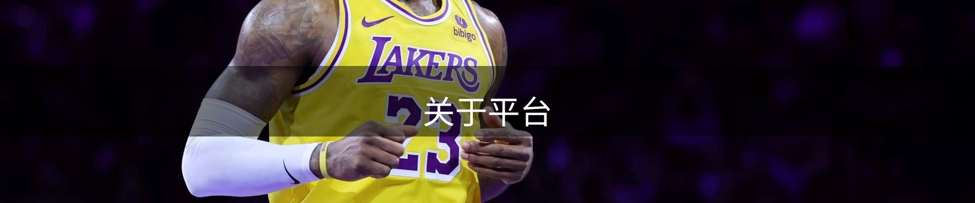 关于平台